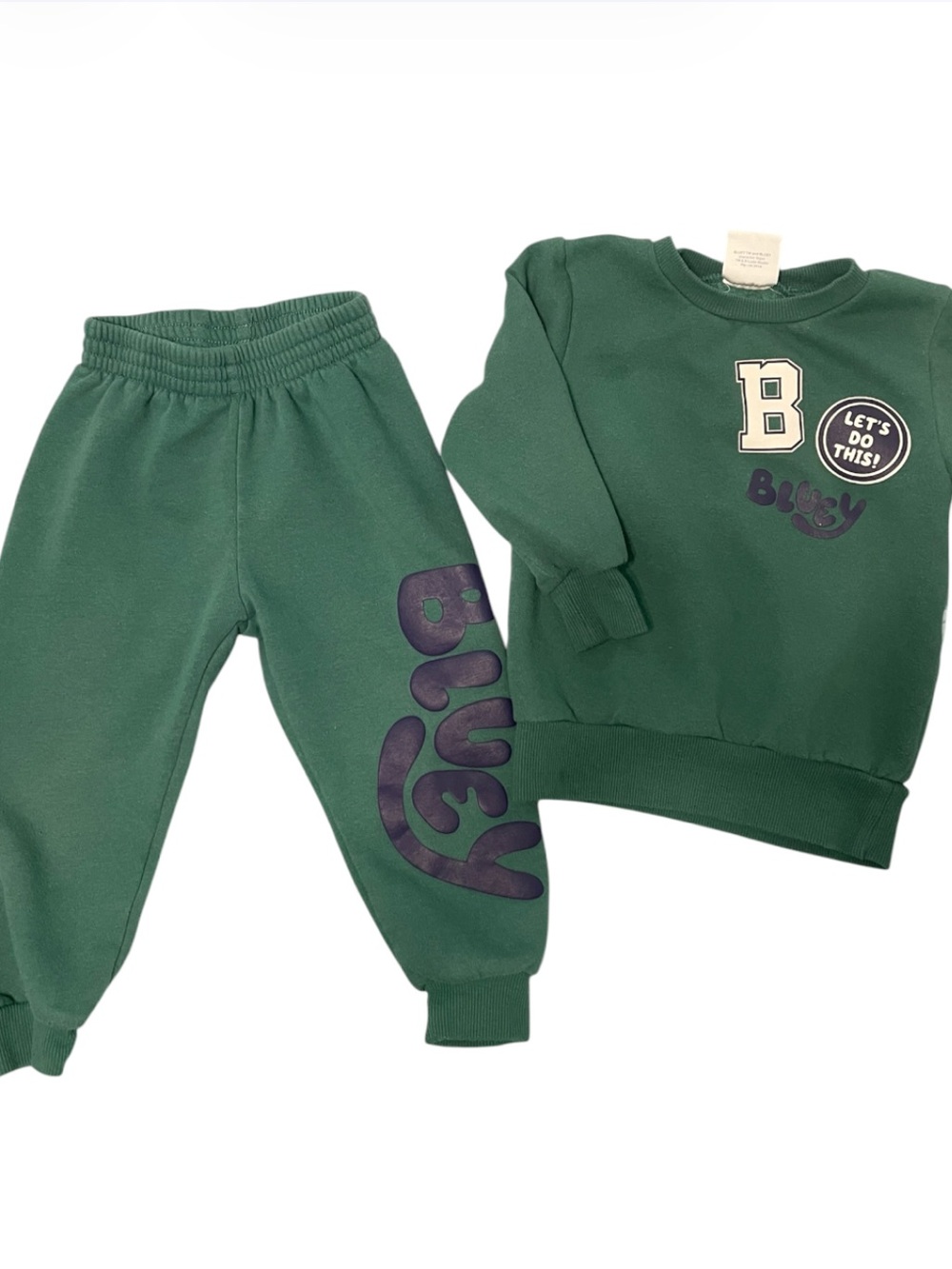 Bluey Toddler Boy Green Matching Sweatshirt & Jogger Set with Graphic